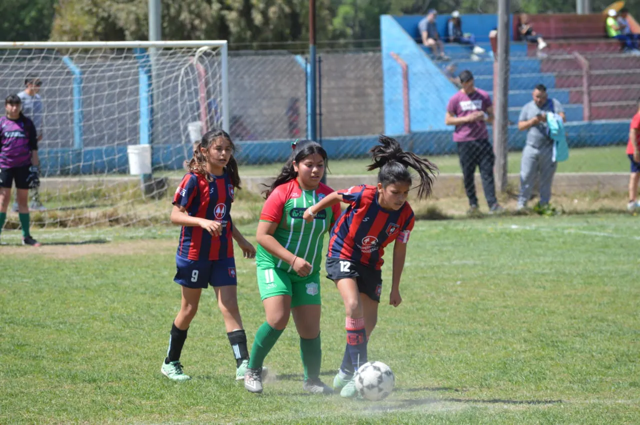 WhatsApp Image 2024-09-28 at 14.26.42 (2)