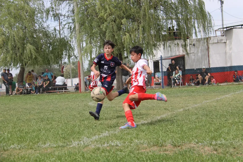 IMG-20251015-WA0117