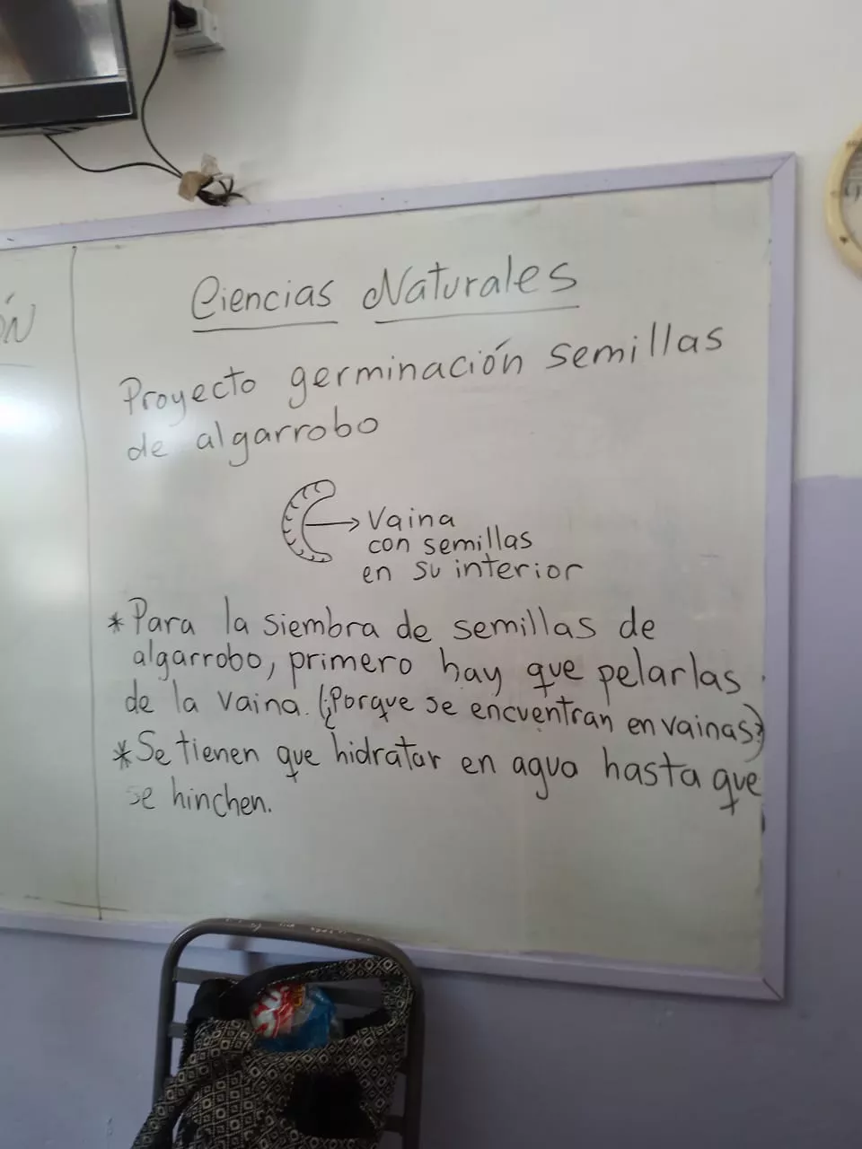 replanteandonos  (5)