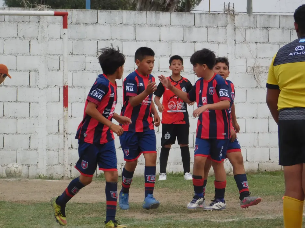 WhatsApp Image 2024-11-17 at 18.15.06 (27)