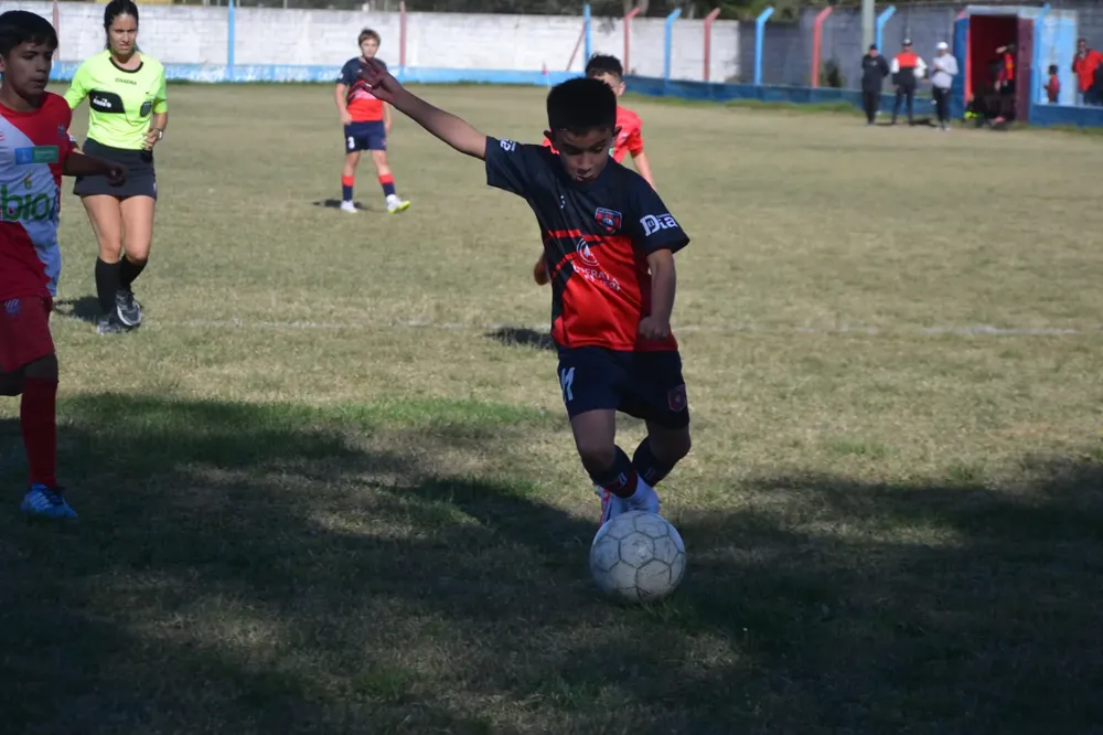 WhatsApp Image 2024-05-12 at 16.46.54 (1)