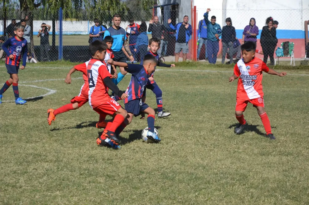 WhatsApp Image 2024-05-12 at 16.46.34 (4)