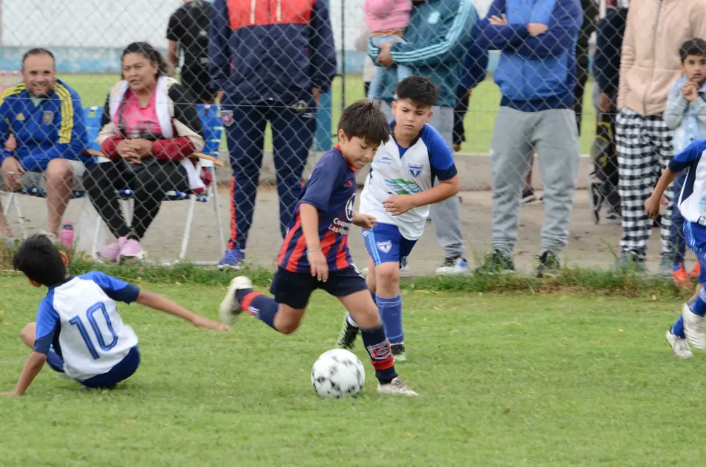 WhatsApp Image 2024-11-04 at 19.36.57 (1)