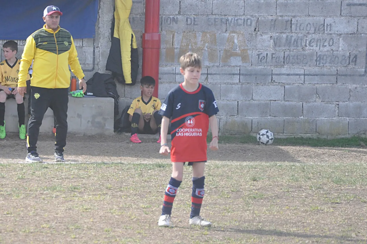 Centro Social Deportivo Municipal Acción Juvenil Socialeritas (91)