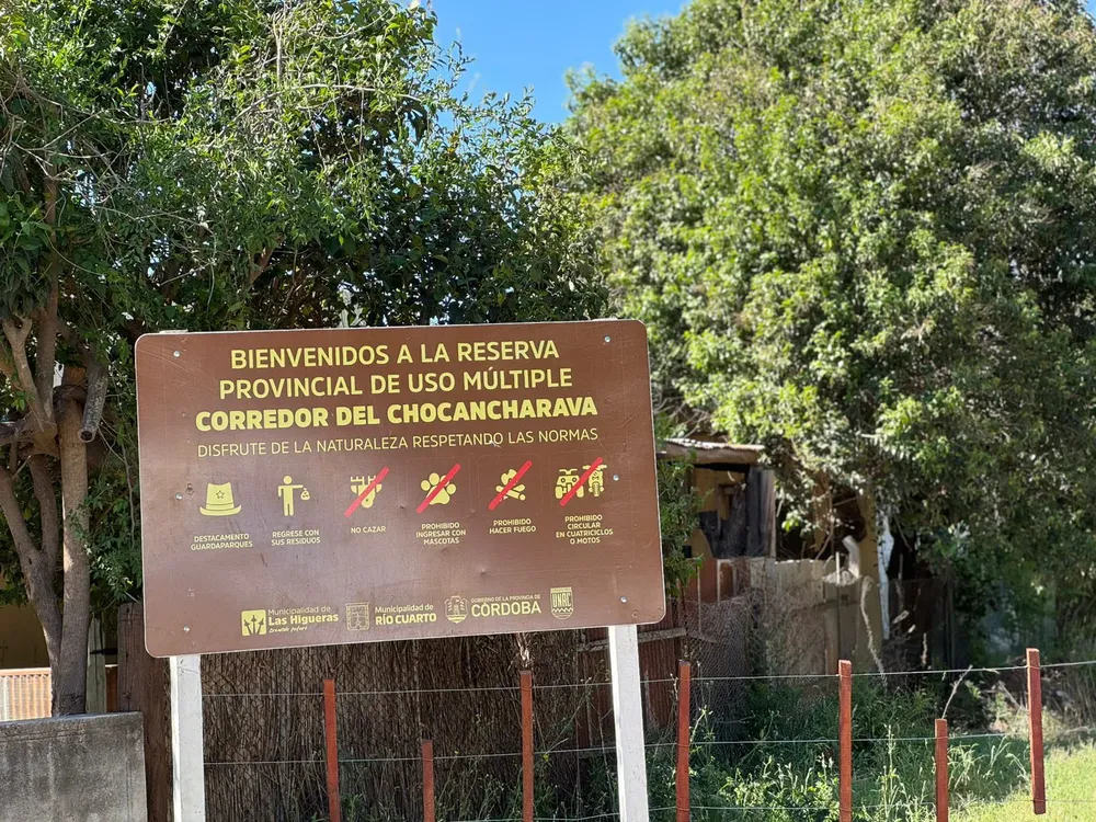 RESERVA (4)