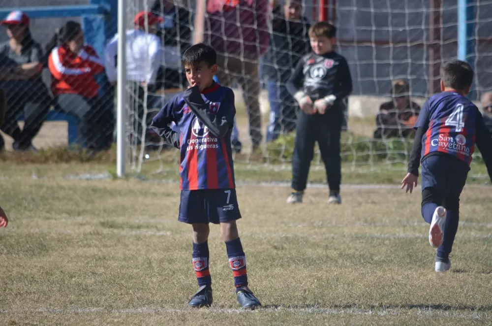 Centro Social Sp Municipal Confraternidad Infanto Juvenil (7)