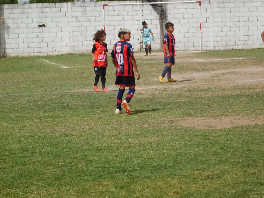 WhatsApp Image 2024-11-17 at 18.08.18 (1)