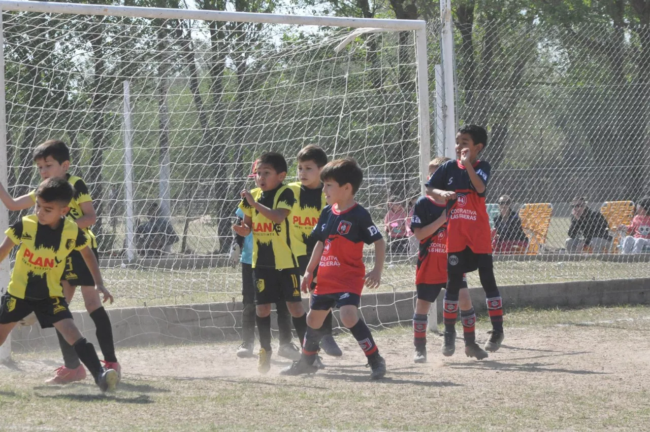 Centro Social Las Higueras Correos y Telecomunicaciones Deportivo Municipal Adela María (59)
