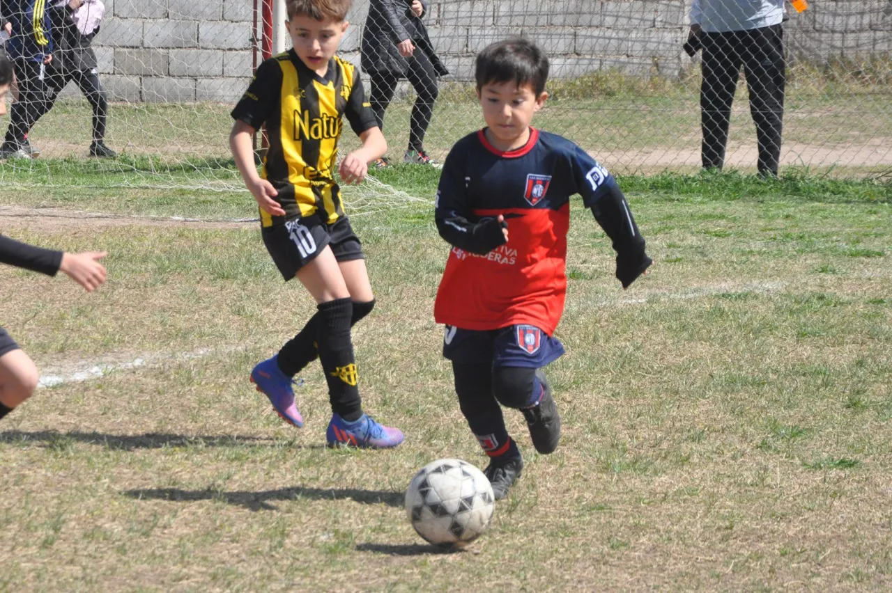 Centro Social Deportivo Municipal Acción Juvenil Socialeritas (80)