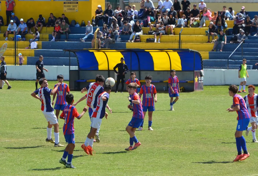 WhatsApp Image 2025-11-08 at 20.54.10 (1)