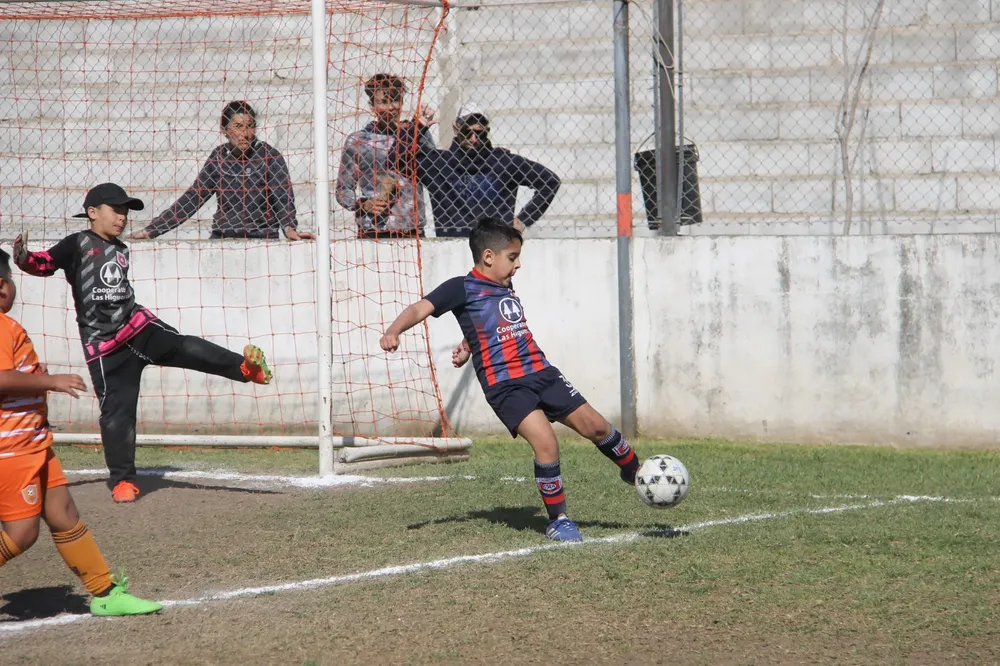 Centro Social Infanto Juvenil Renato Cesarini Olaeta Socialeritas (59)