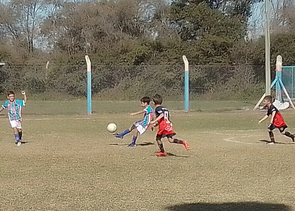 Infantiles Juveniles Centro Social San Lorenzo Bulnes Ateneo Vecinos Argentinso Jrs (149)