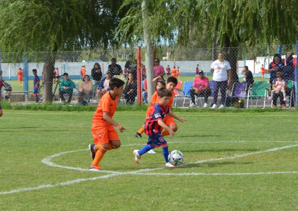 WhatsApp Image 2025-03-31 at 16.38.17 (3)