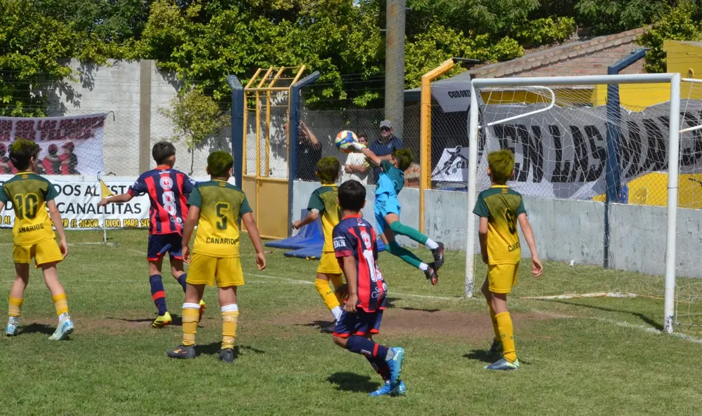 WhatsApp Image 2025-11-08 at 20.54.12 (6)