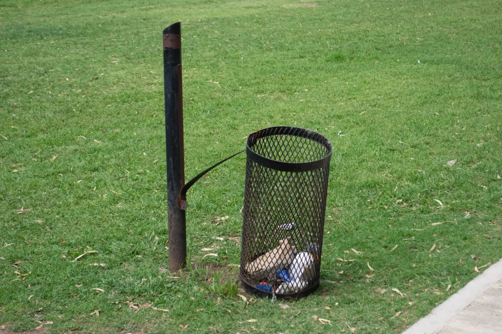 DAÑOS EN CESTOS (4)