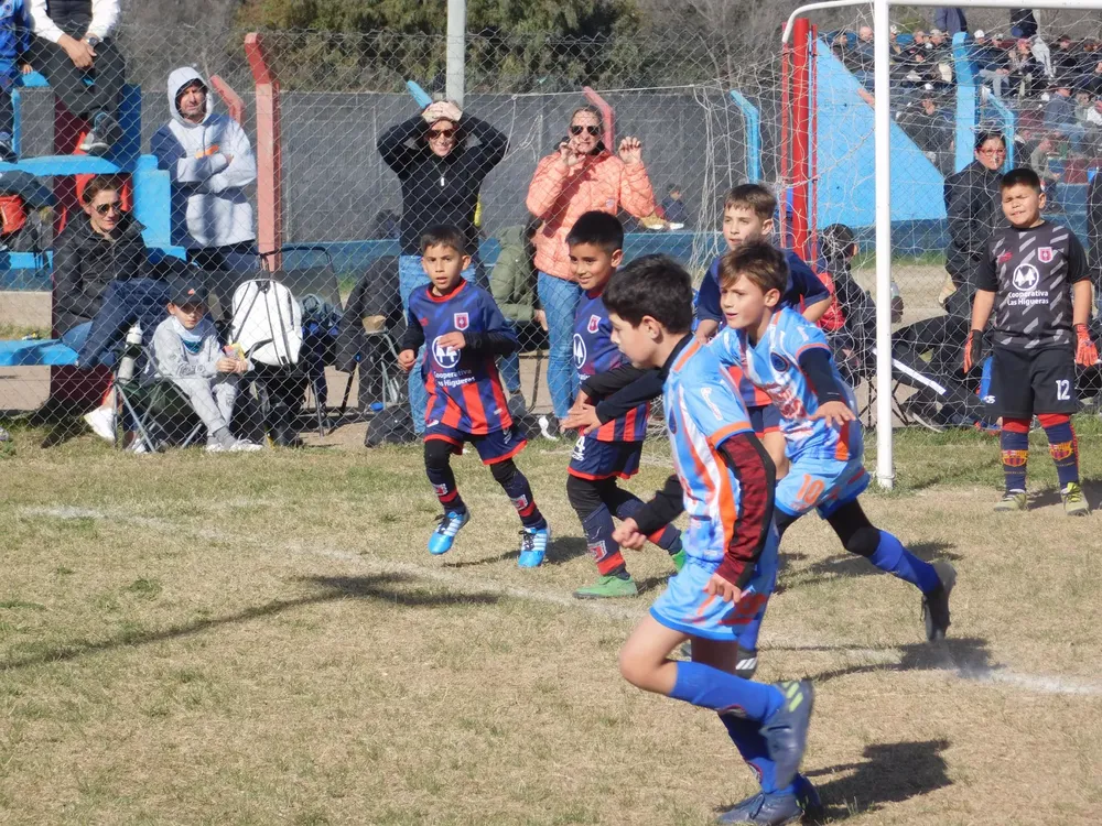 Centro Social Las Higueras Infanto Juvenil Ateneo Vecinos (228)