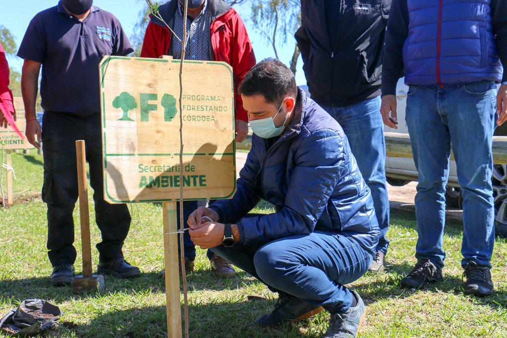 1000 nuevos arboles  (3)