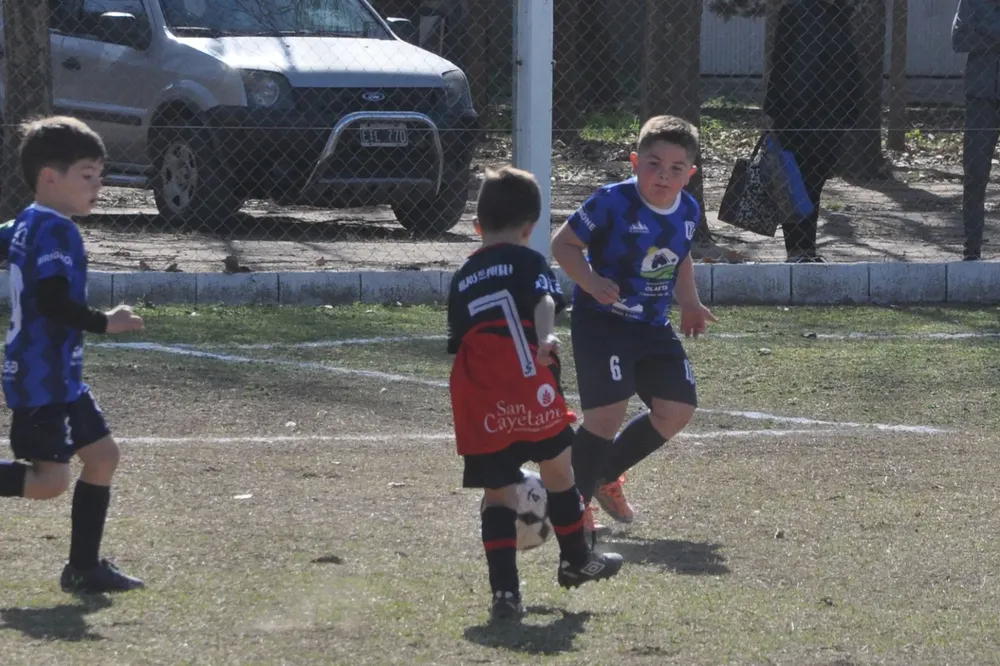 Centro Social Infanto Juvenil Renato Cesarini Olaeta Socialeritas (240)