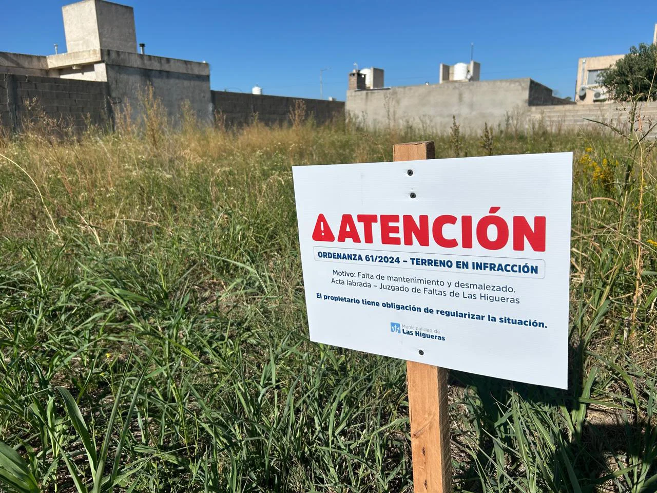 MANTENIMIENTO TERRENOS