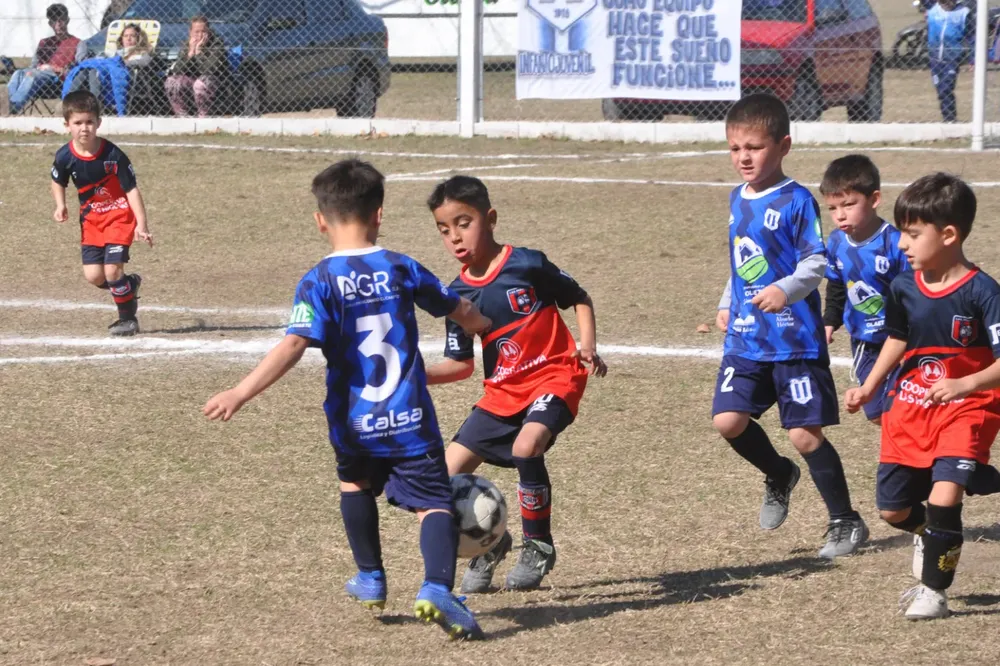 Centro Social Infanto Juvenil Renato Cesarini Olaeta Socialeritas (245)
