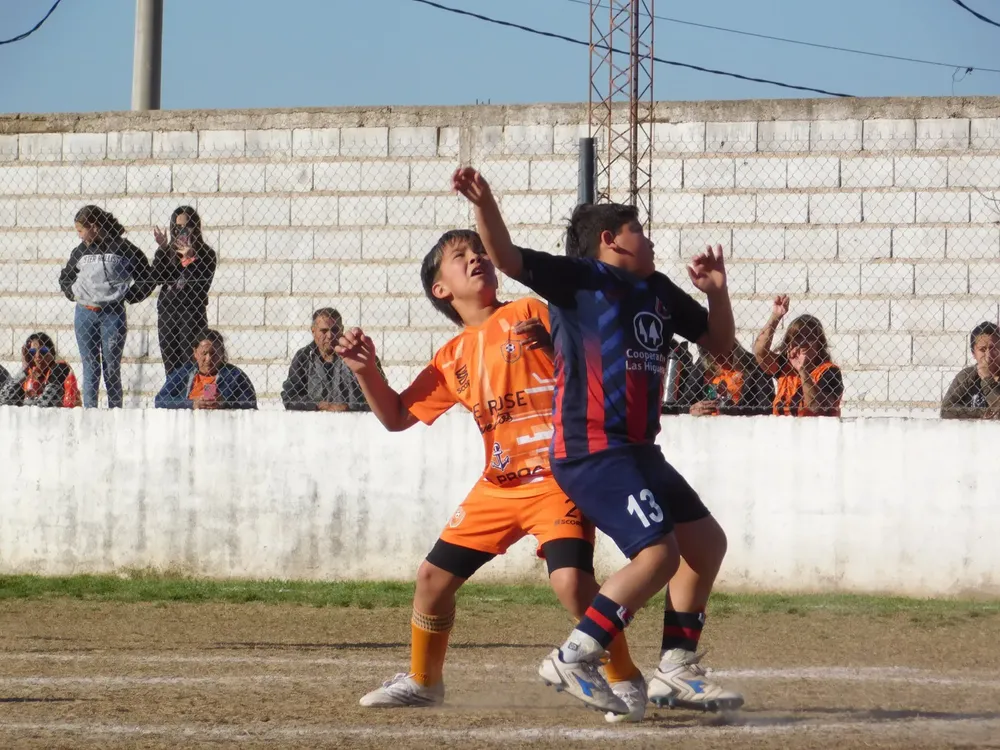 Centro Social Infanto Juvenil Renato Cesarini Olaeta Socialeritas (189)