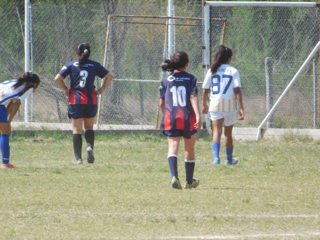 SOCIALERITAS 2 OCT (6)