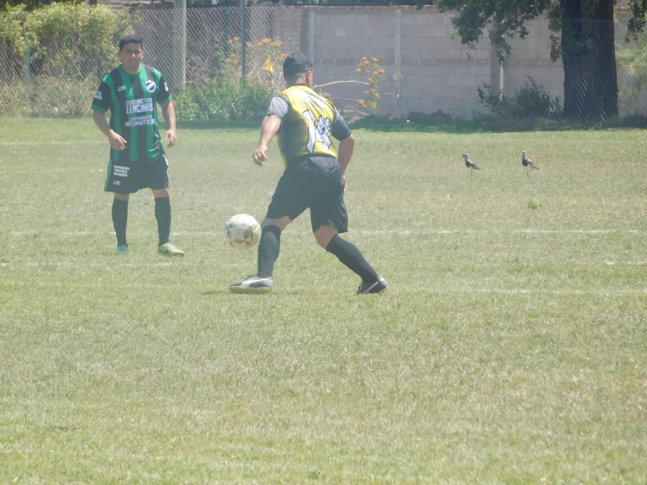 Veteranos Octubre  2022 (5)