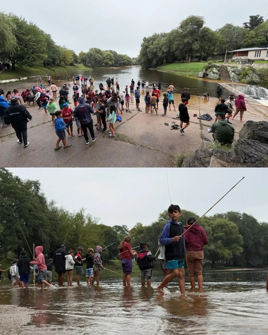 COLONIA DE VACACIONES (8)