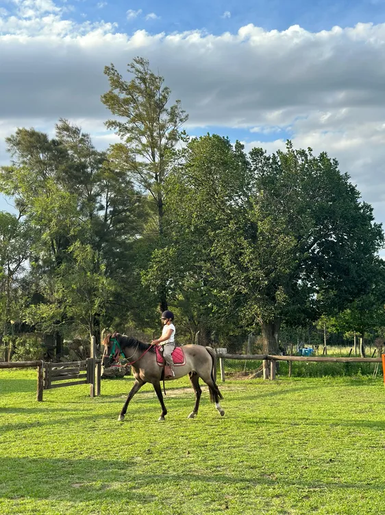 EQUINOTERAPIA Y MONTA (13)
