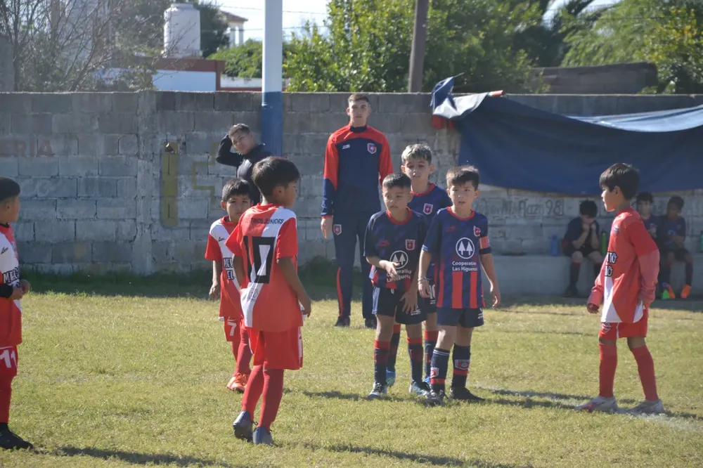 WhatsApp Image 2024-05-12 at 16.46.30