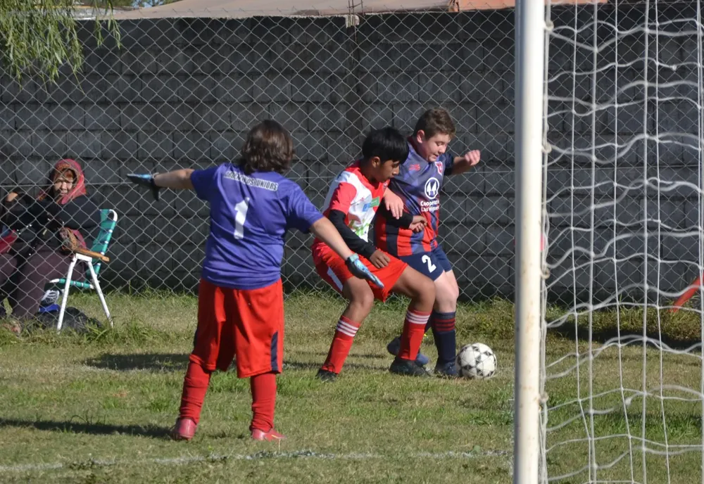 WhatsApp Image 2024-05-12 at 16.46.55 (3)