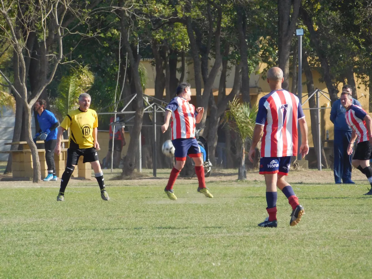 Profesionales Las Higueras (3)