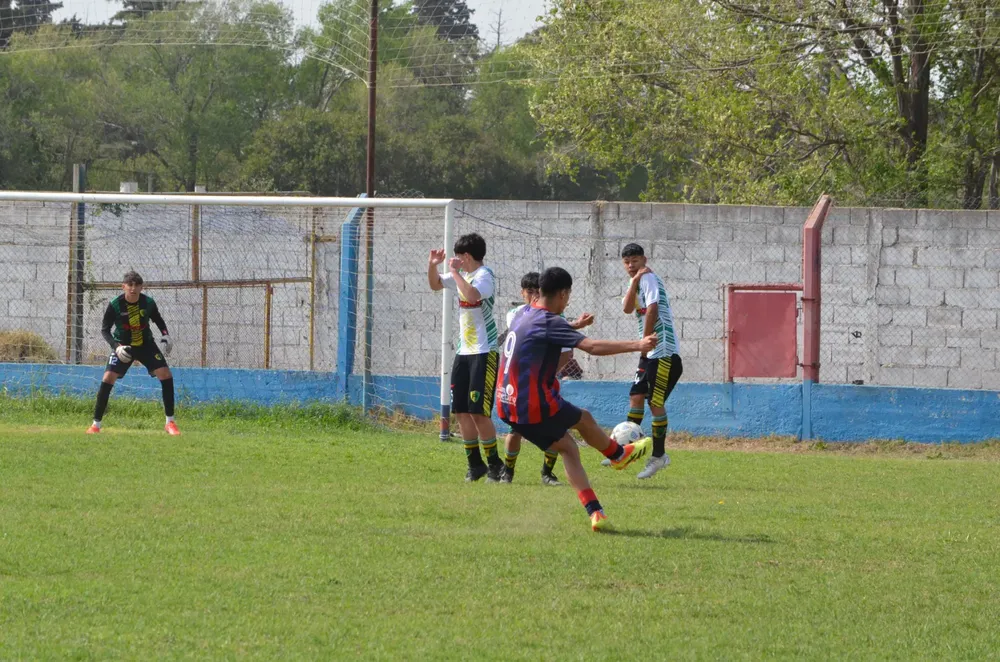 WhatsApp Image 2024-09-23 at 16.31.13