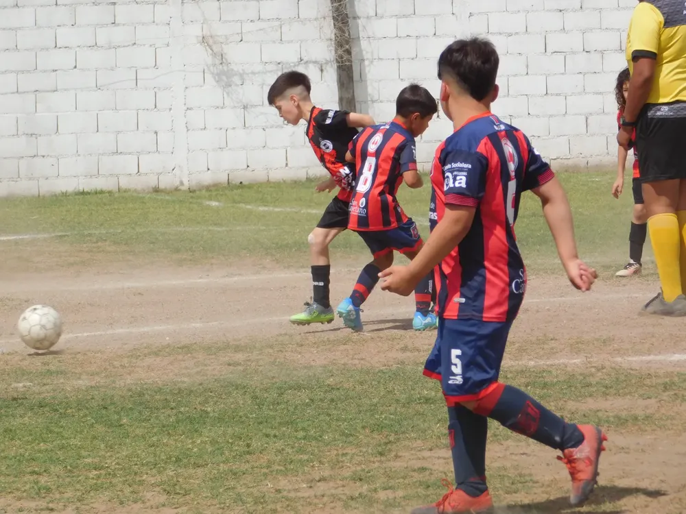 WhatsApp Image 2024-11-17 at 18.08.18 (2)