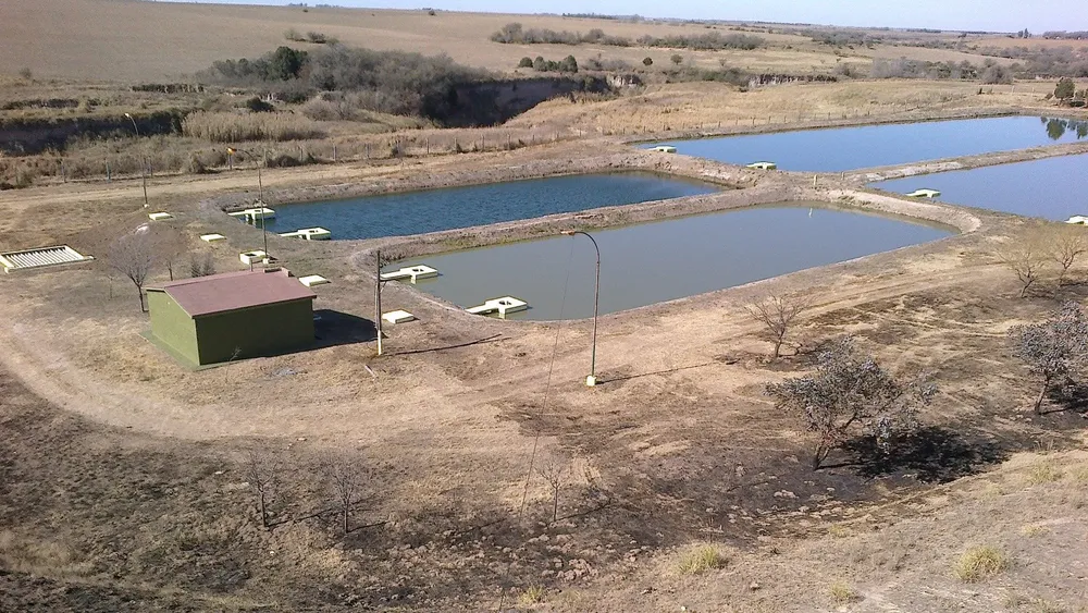 164128_1656688310_462