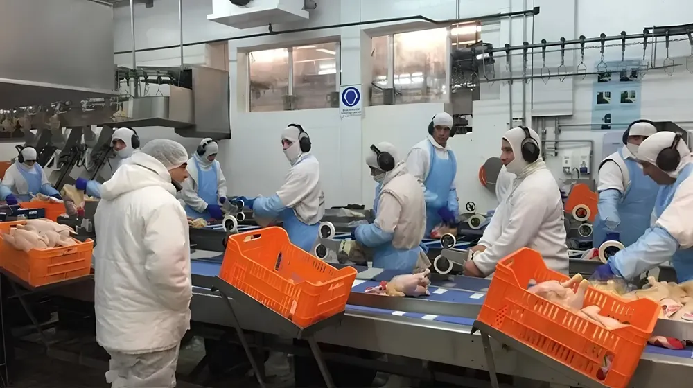 WhatsApp Image 2025-11-18 at 22.03.31