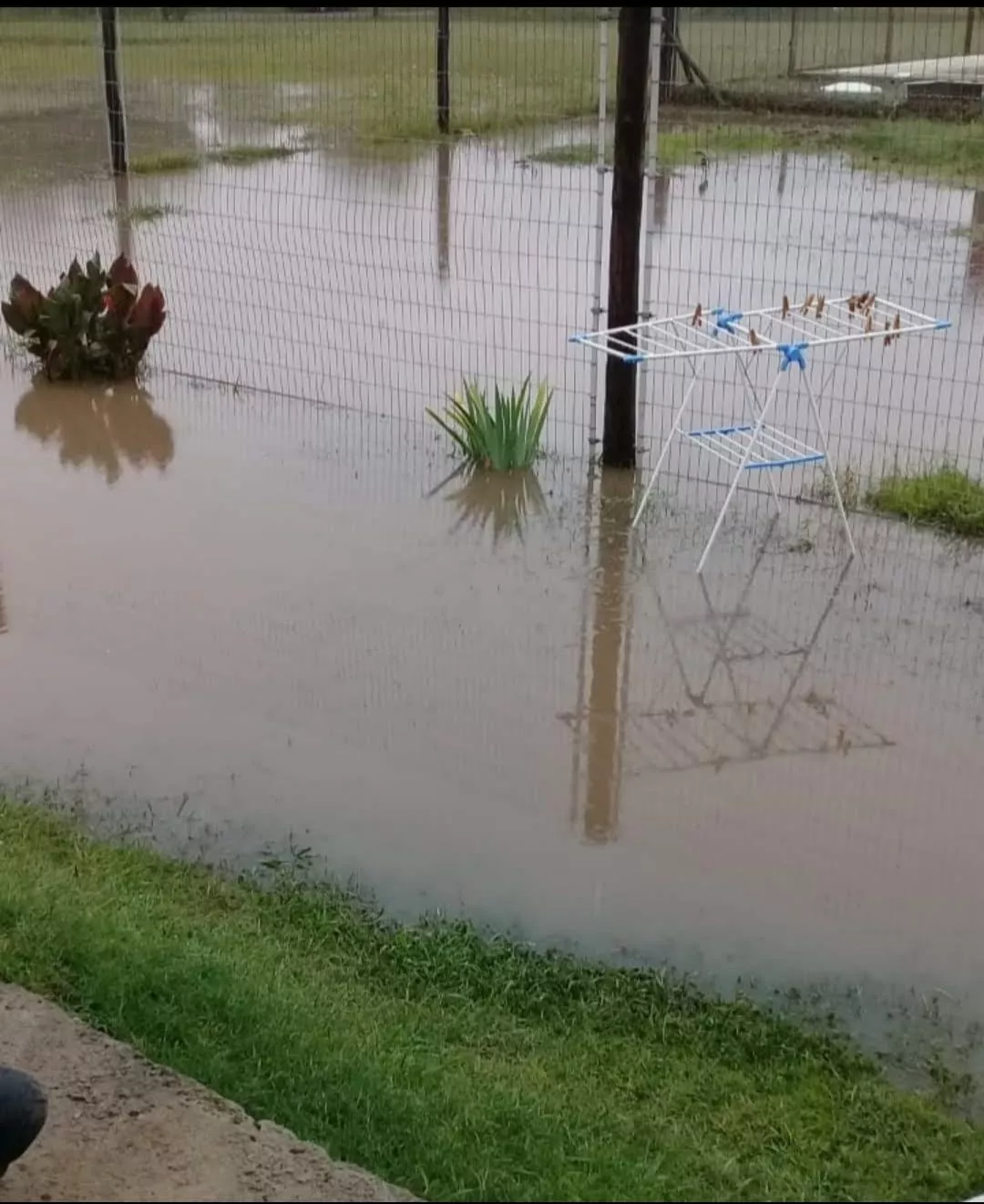 WhatsApp Image 2022-06-21 at 11.42.10 PM