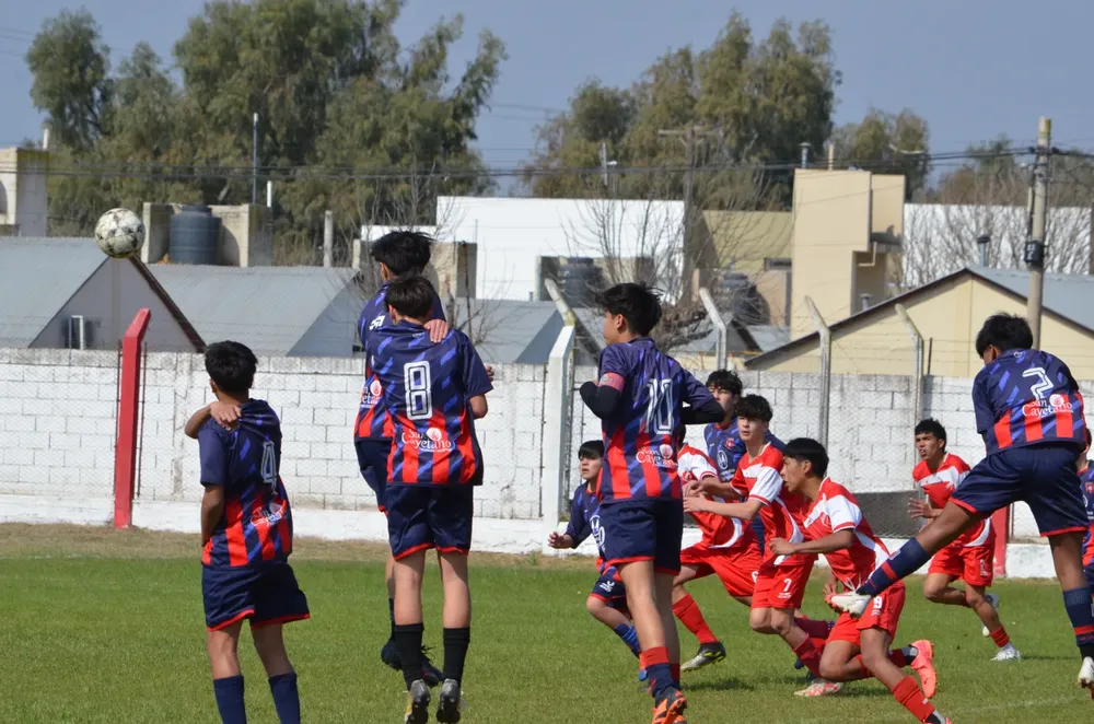 WhatsApp Image 2024-08-18 at 19.33.50