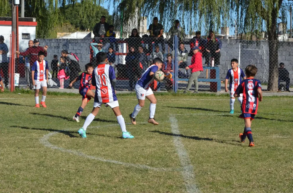 IMG-20250531-WA0123