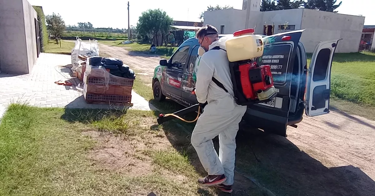 Fumigación 002 (1)
