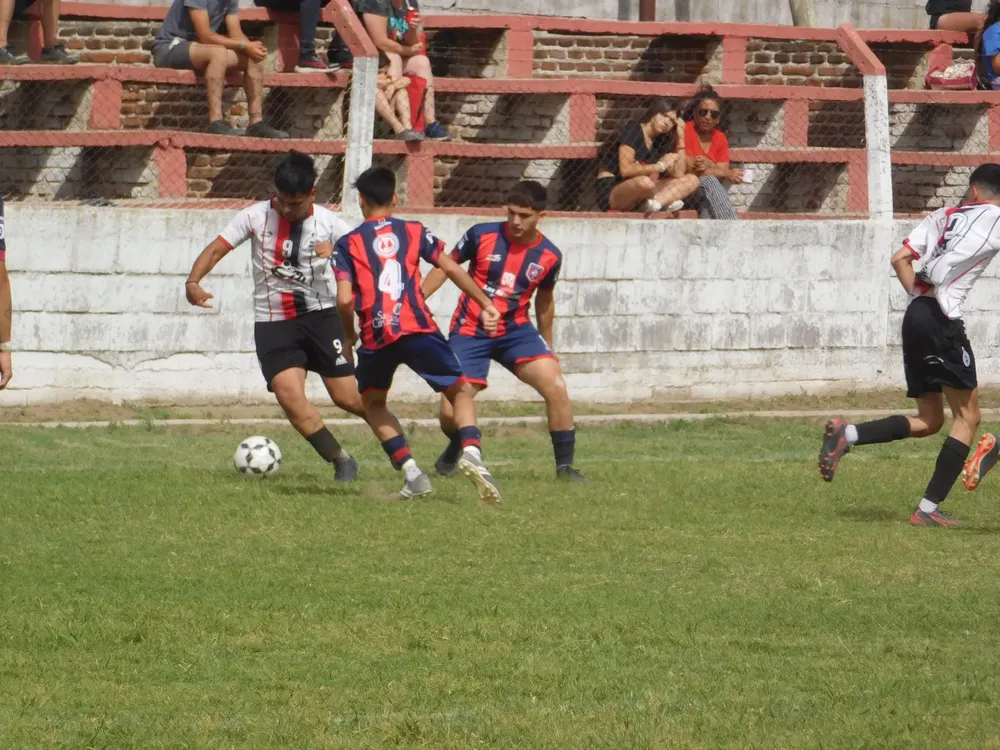 WhatsApp Image 2024-11-17 at 18.15.06 (7)