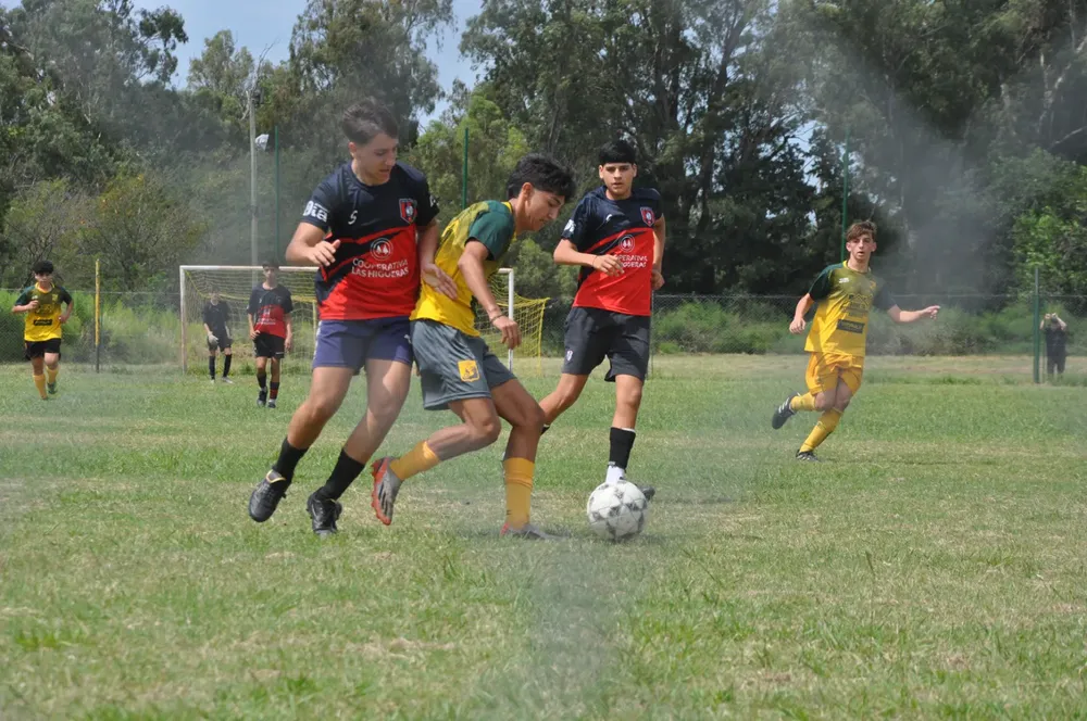 WhatsApp Image 2024-03-05 at 12.53.57 (4)