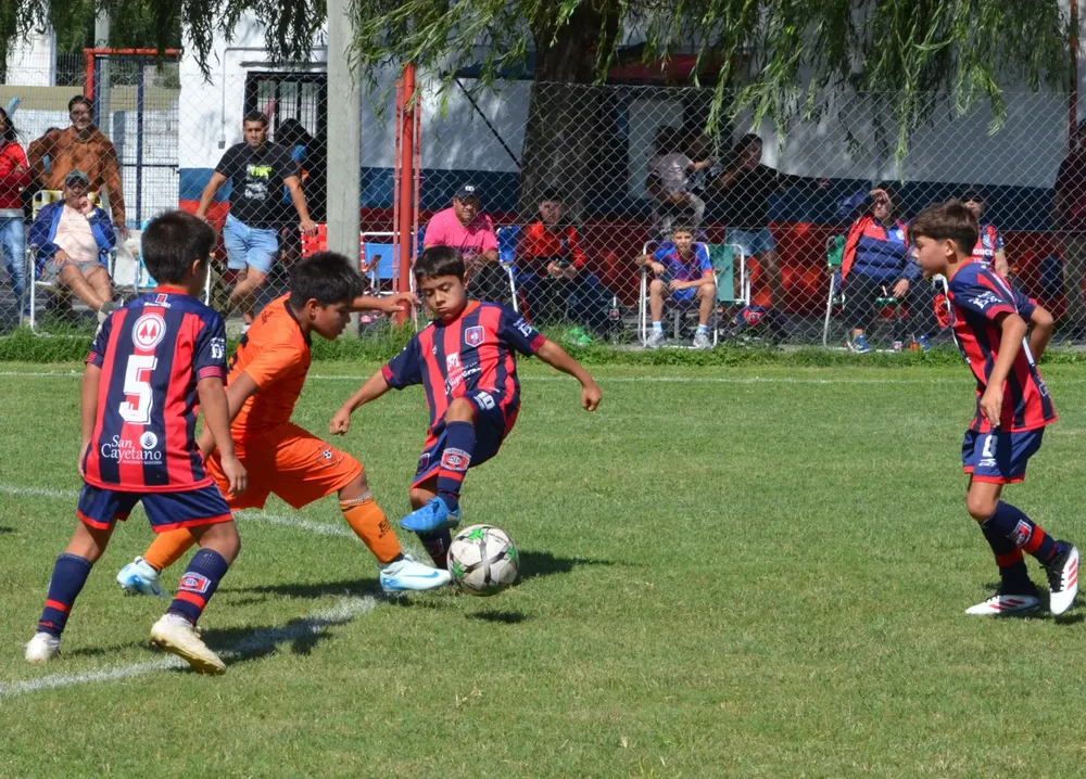 WhatsApp Image 2025-03-31 at 16.38.31 (1)