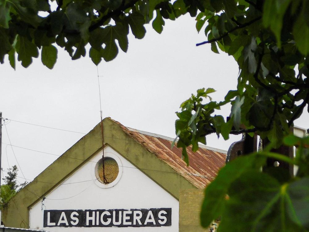 LAS HIGUERAS
