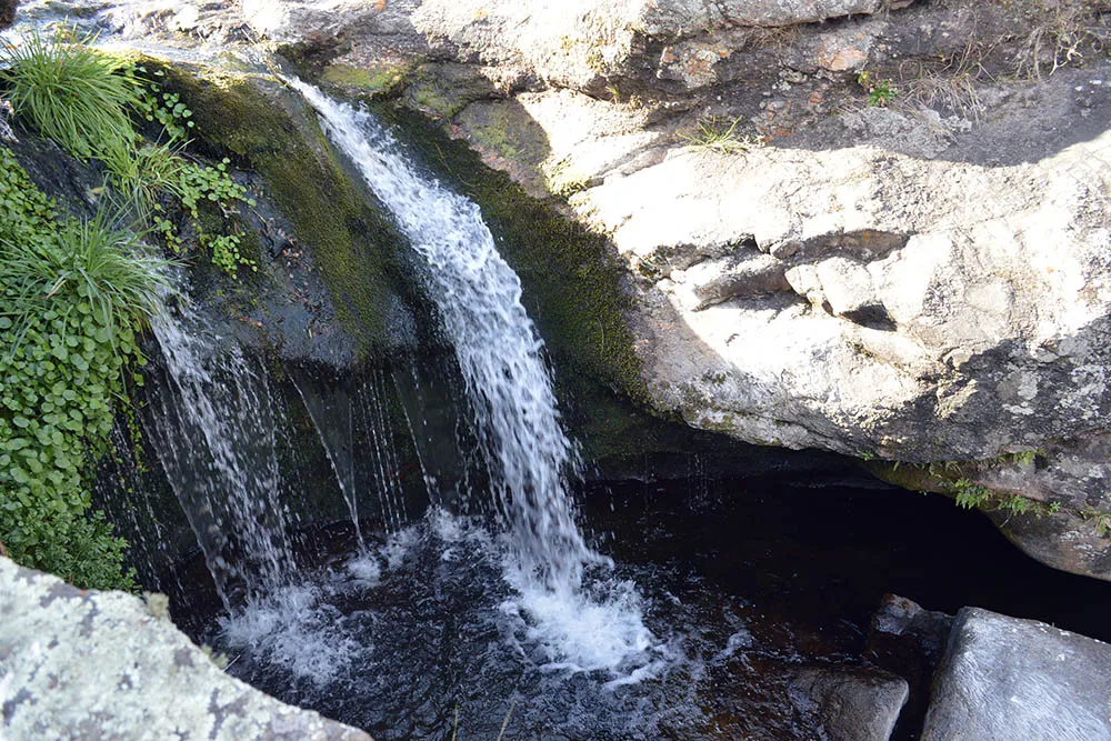 multimedia.normal.9ca31bfbb5a56c28.436173636164612050696564726173204c697361732d54616e74695f6e6f726d616c2e4a5047