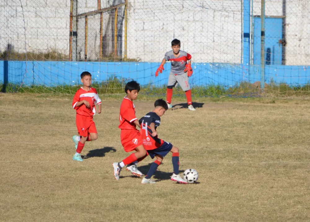 Centro Social Sp Municipal Confraternidad Infanto Juvenil (82)