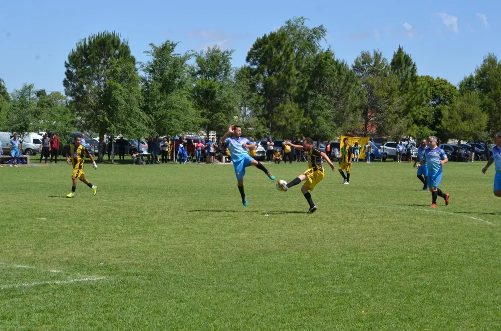 WhatsApp Image 2024-11-07 at 19.35.52