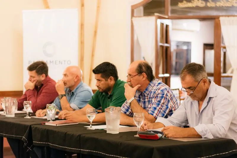 PARLAMENTO HOLMBERG (6)