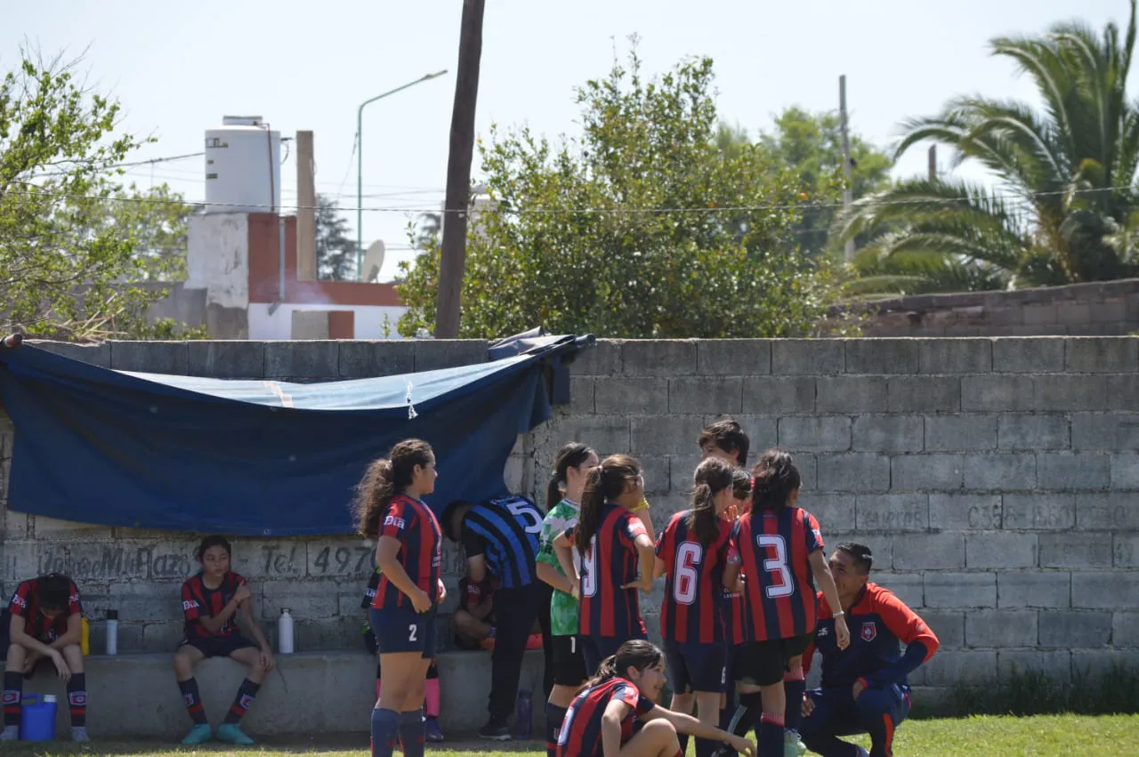 WhatsApp Image 2024-09-28 at 14.26.48