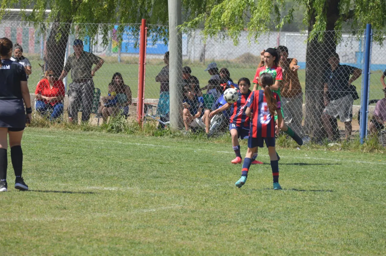 WhatsApp Image 2024-09-28 at 14.26.51